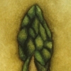 Asparagus