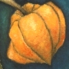 Chinese Lanterns