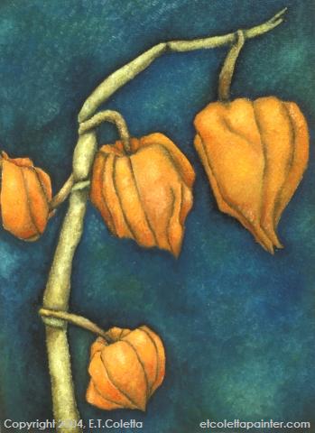 Chinese Lanterns