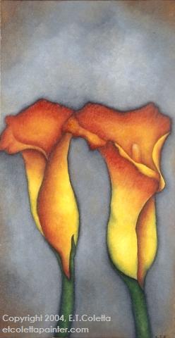 Calla Lillies