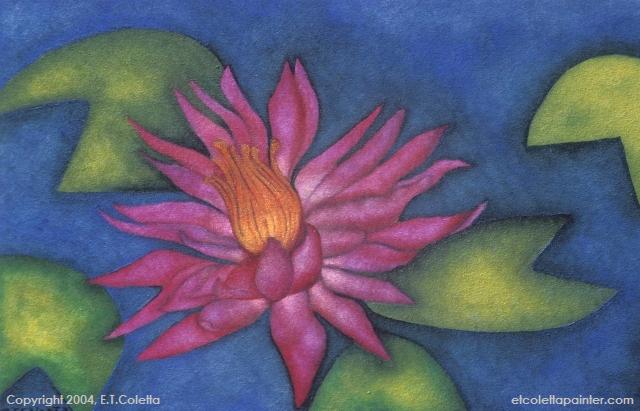 Water Lilly