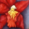 Orchids