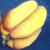 Still Life with Chair